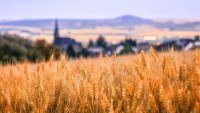 vesnice landscape-3519385 1280